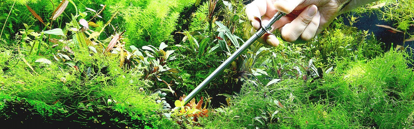 6bvwjipskld1zcfmsthup0tfimagm13xaxrpjs13